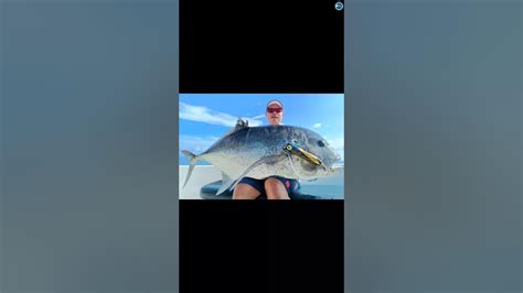 JACKPOT! Scoring MASSIVE GTs & Reef Catches in Andaman .